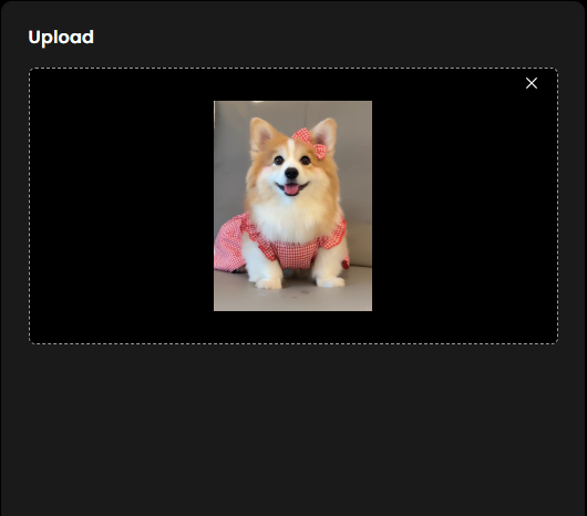 Step 1 – Upload a Photo