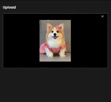 Step 1 – Upload Your Pet’s Photo